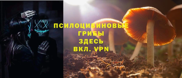 крисы Алексеевка