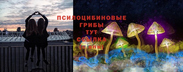 ГАЛЛЮЦИНОГЕННЫЕ ГРИБЫ Абинск