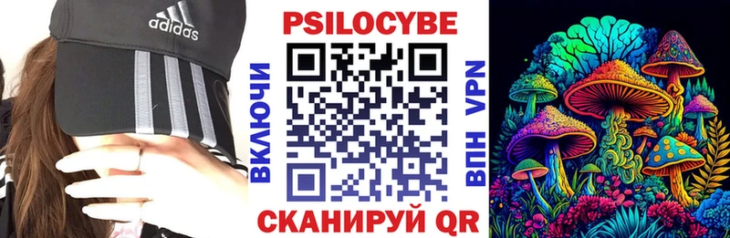 KRAKEN зеркало  Сурск  Галлюциногенные грибы мицелий 